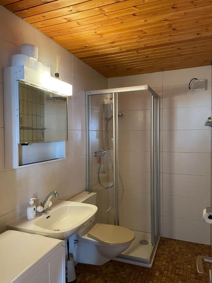 Gemuetliche Wohnung Mit Traumaussicht! Albinen Екстер'єр фото