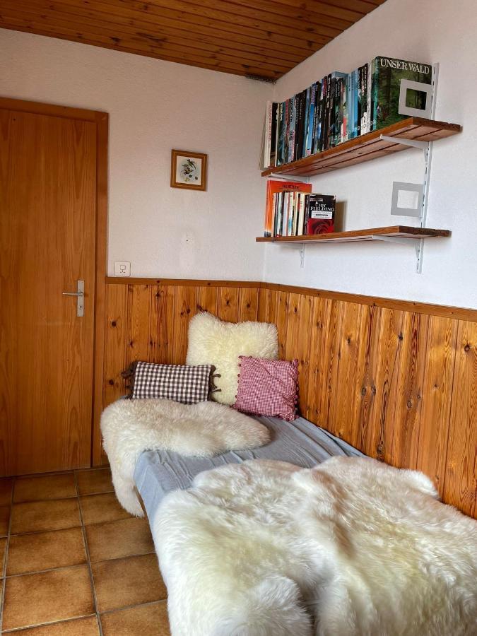 Gemuetliche Wohnung Mit Traumaussicht! Albinen Екстер'єр фото